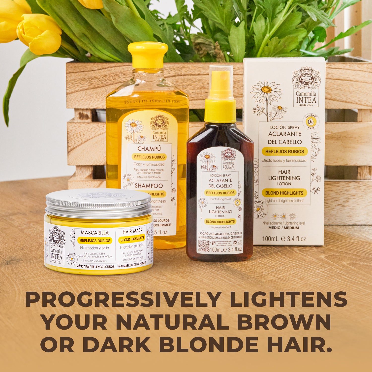 Natural Blonde Kit + Fanola Shampoo